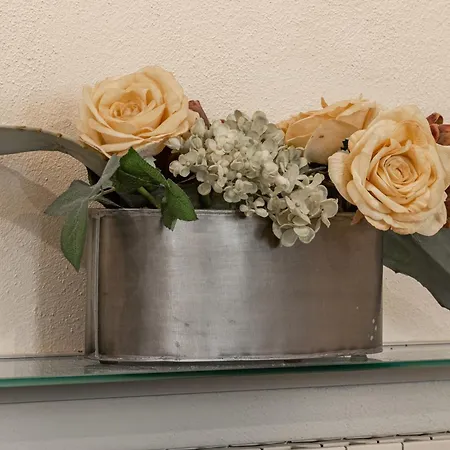 H11 Honey-moon - Centro * San Remo